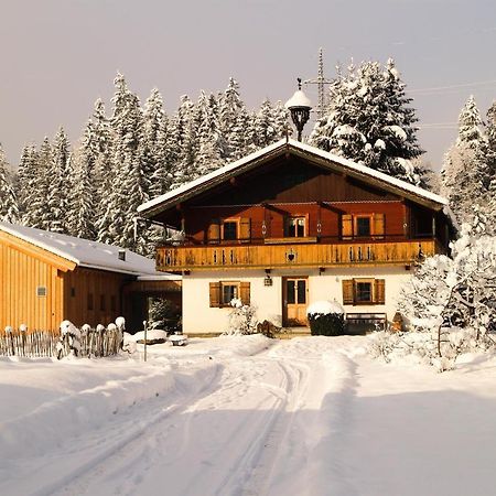 Going Artenreich Going am Wilden Kaiser Buitenkant foto