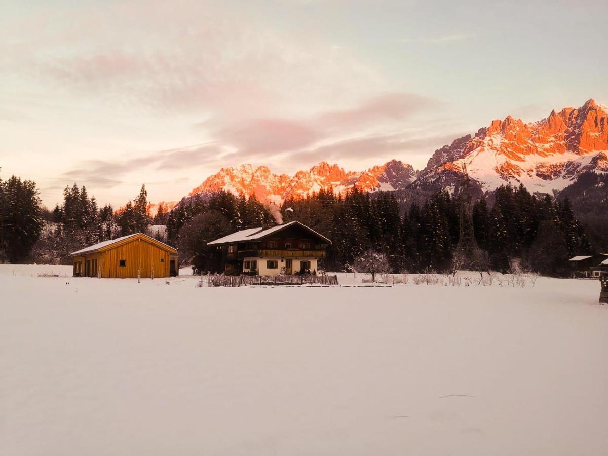 Going Artenreich Going am Wilden Kaiser Buitenkant foto