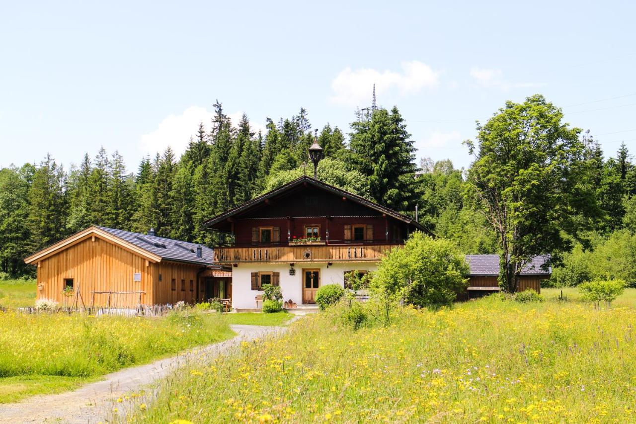 Going Artenreich Going am Wilden Kaiser Buitenkant foto